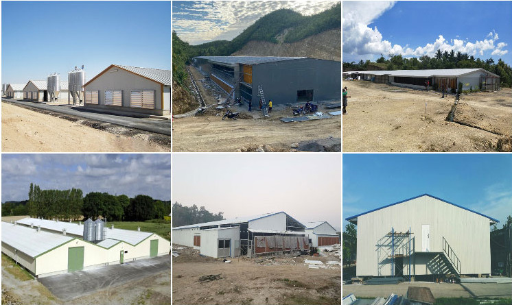 XDEM Steel Structure Warehouse Production Workshop Chicken And Poultry Farm