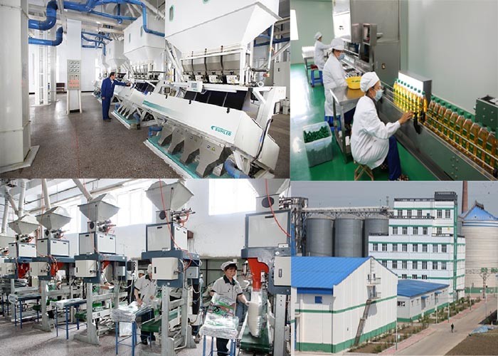 Edible Cooking Blending Perilla Healthy Edible Oil