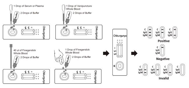 Chikungunya IgG/IgM Rapid Test Cassette (Whole Blood/Serum/Plasma), Infectious Disease Test Kit