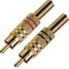 Buy cheap plug and connectors from wholesalers