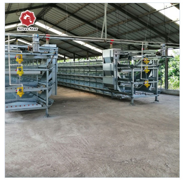 180 Birds H Type Broiler Chicken Cage 1480mmx1750mmx440mm