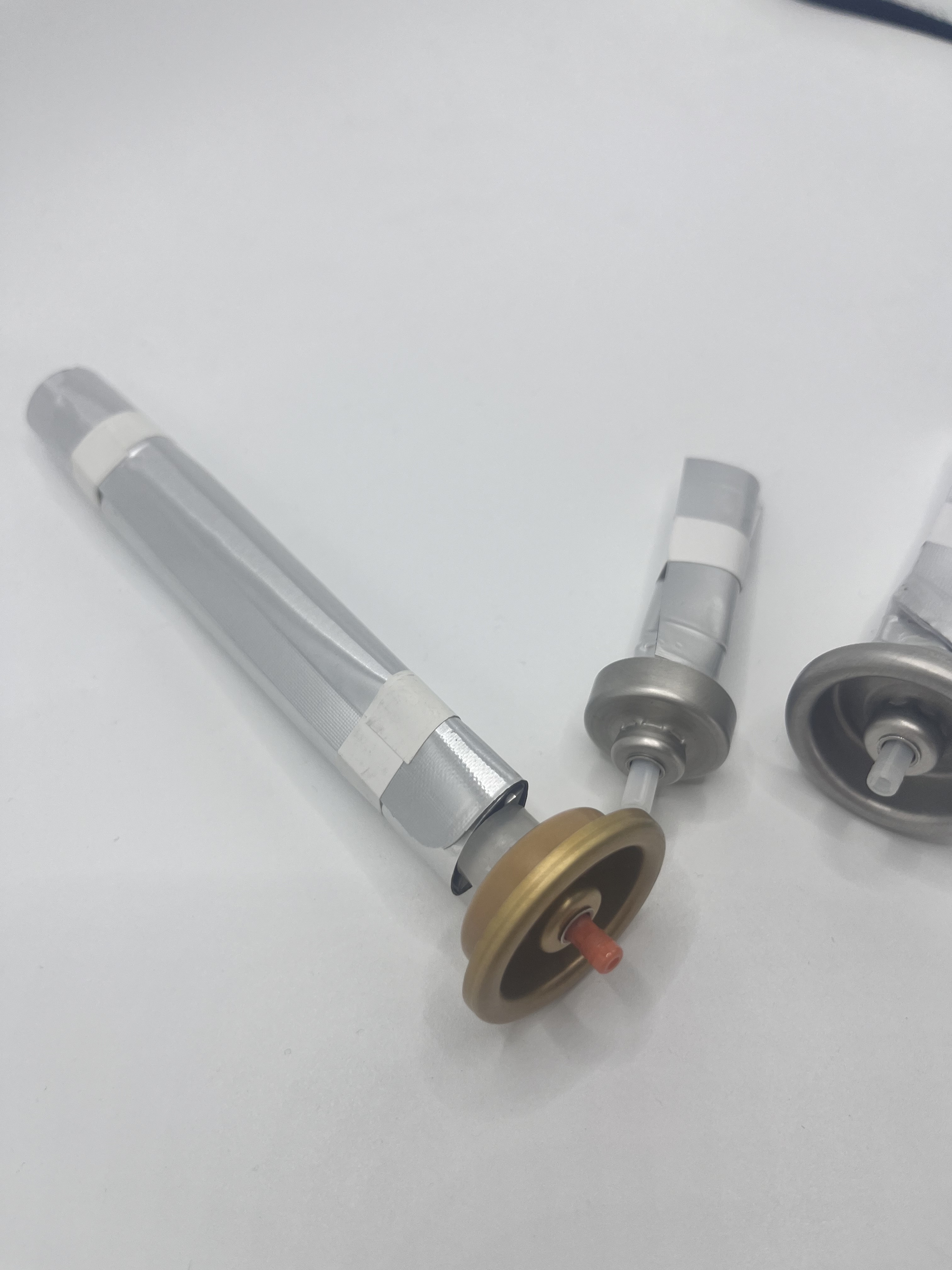 Innovative Bag on Valve for Food Packaging with Freshness-Preserving Technology