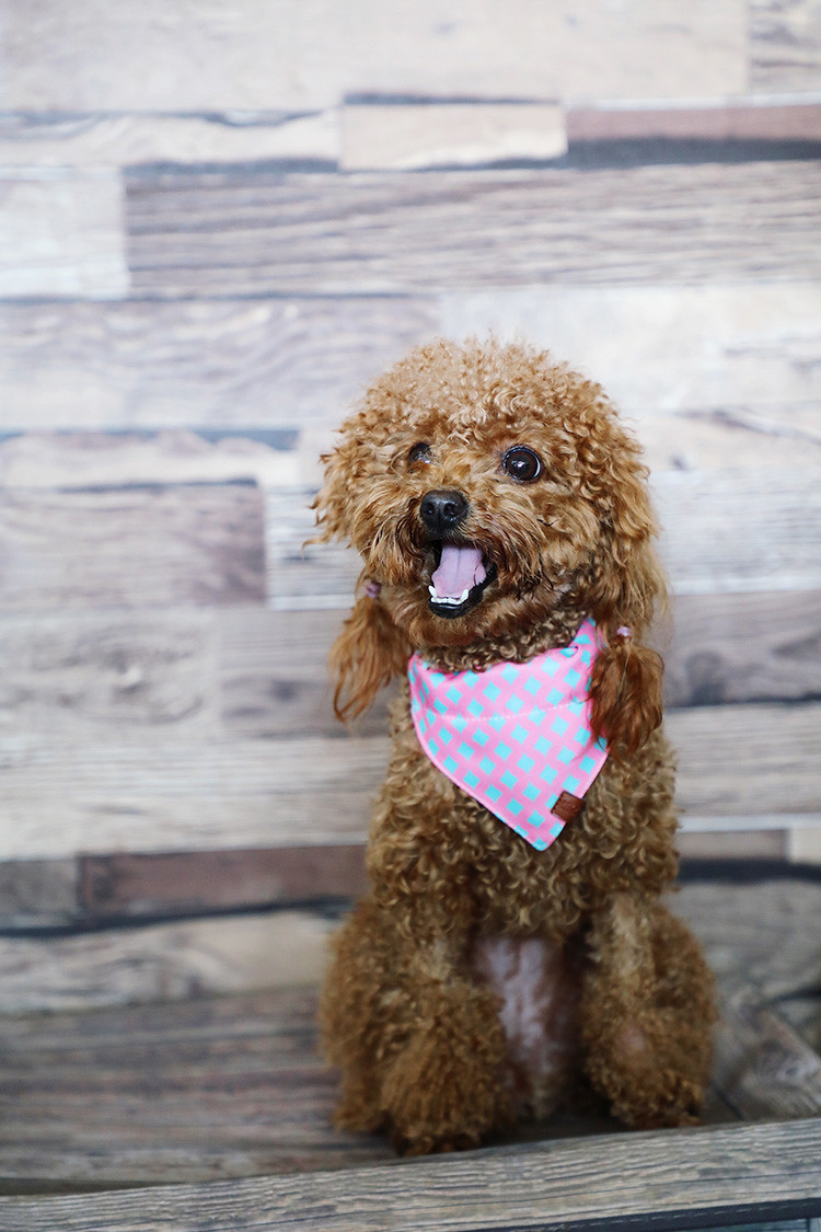 9.5cm Red Dog Handkerchief Collar Neck Scarf For Middle Dog Triangular
