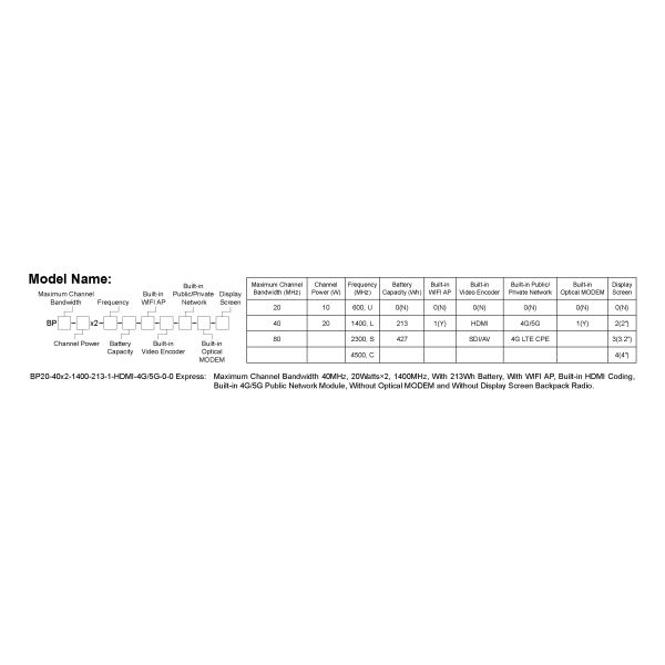 DDLmesh Wireless Data Link Mesh Radio System with Ultra Long Range Low Latency and Multi-channel Data Transmission