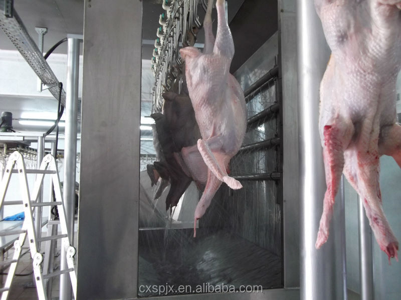 Containerized Latest Design Mobile Chicken Slaughtering Line for Poultry Industry