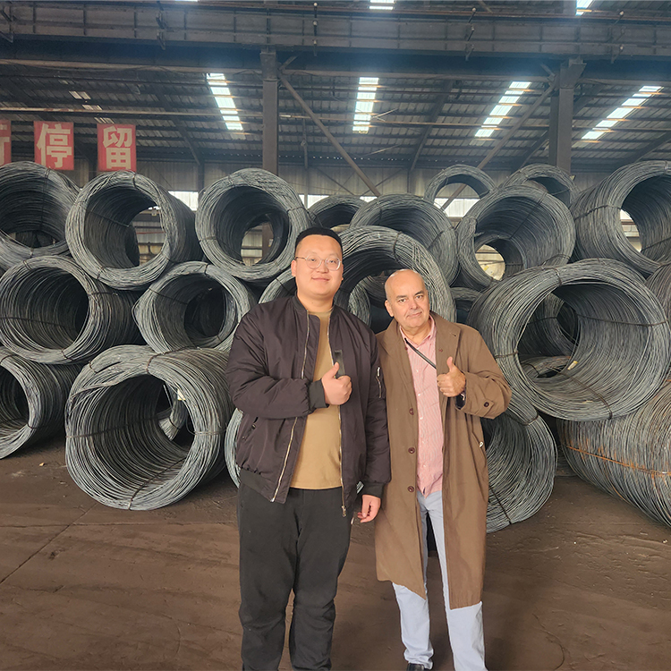 Galvanized Steel Wire 8mm in ASTM Standard from Professional with Q195/Q235/SAE1006/SAE1008 Grade