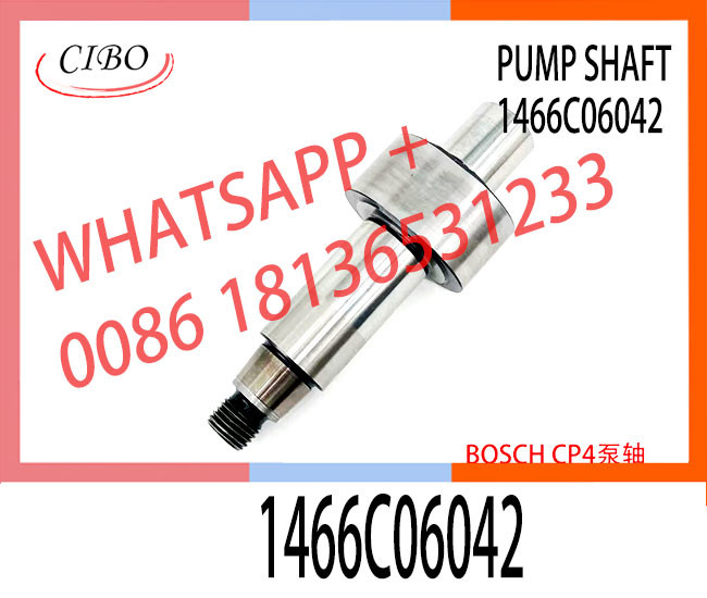 High Quality Bosch CP4 camshaft 1466C06045 1466C06030 1466C06025 1466C06042 1466C06137 1466C06057 1466C06116 1466C05018