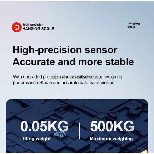 50g Accuracy Electronic Industrial Hanging Scale 300kg Digital Crane Scale with Customized OEM Support