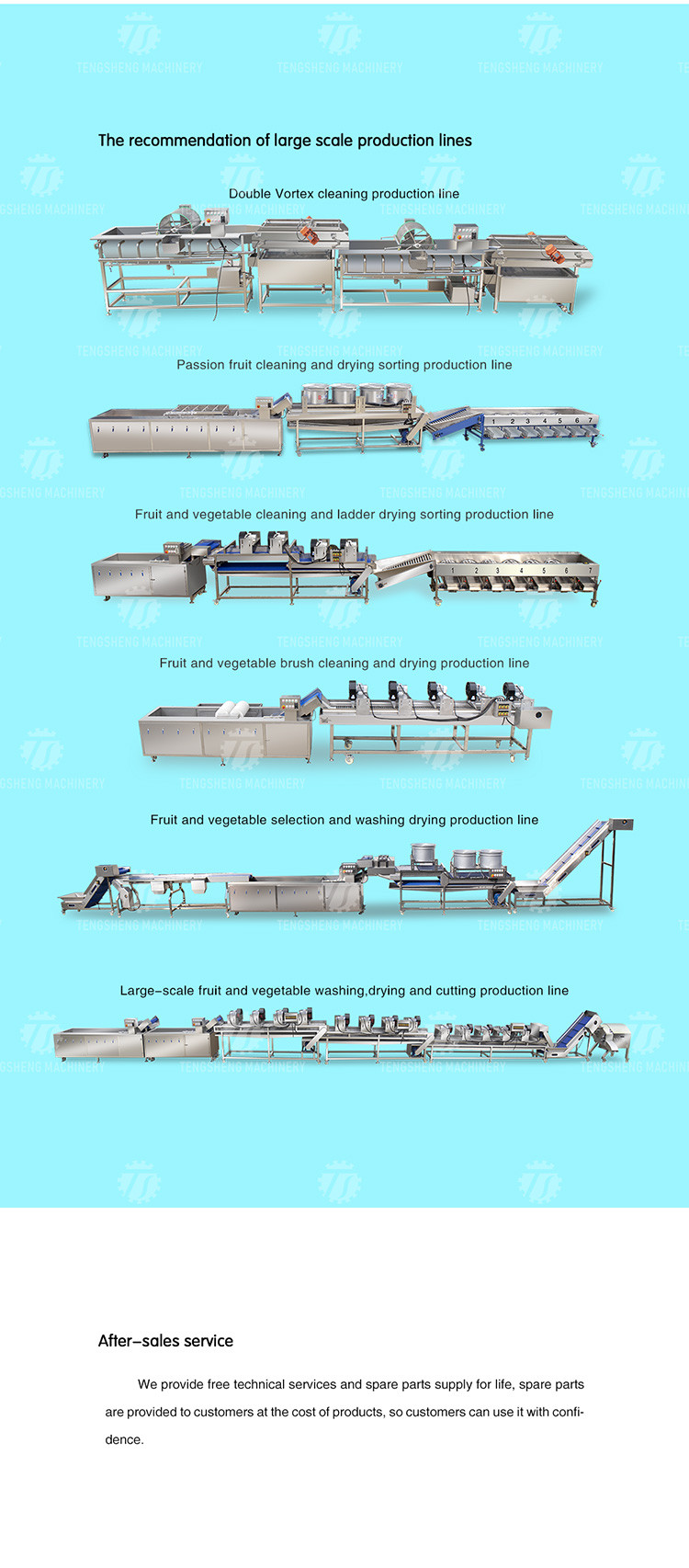 Multifunctional Fruit And Vegetable Processing Line Hoisting Machine