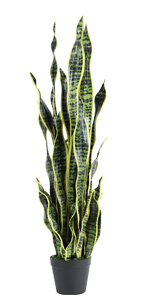 Artificial Snake Plants