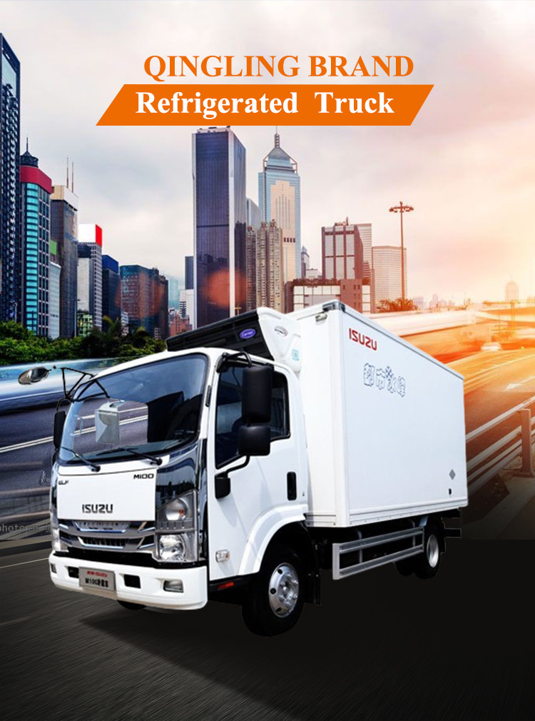 QINGLING M100 Refrigerated Truck For Food Meat Fish Transportation Freezer Carrier Citimax 500+ Refrigeration Unit
