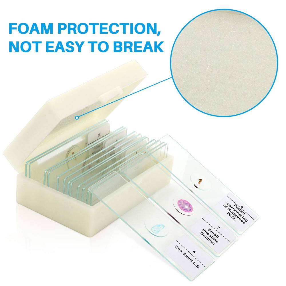 15 Pieces Mixed Botany Microscope Prepared Slides Set For Biology Education