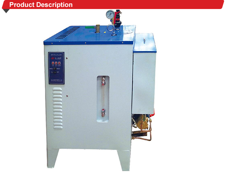 China Low Price Small Portable Mini Bottle Electric Steam Generator For Sale