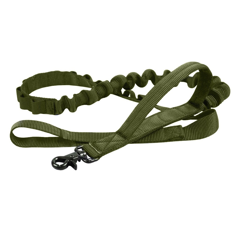  personalised dog collar and lead set