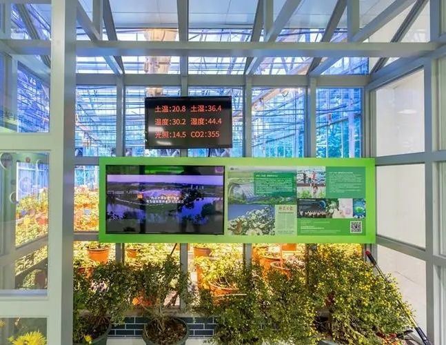 Wet Curtain Controlled Inlluminating Greenhouse