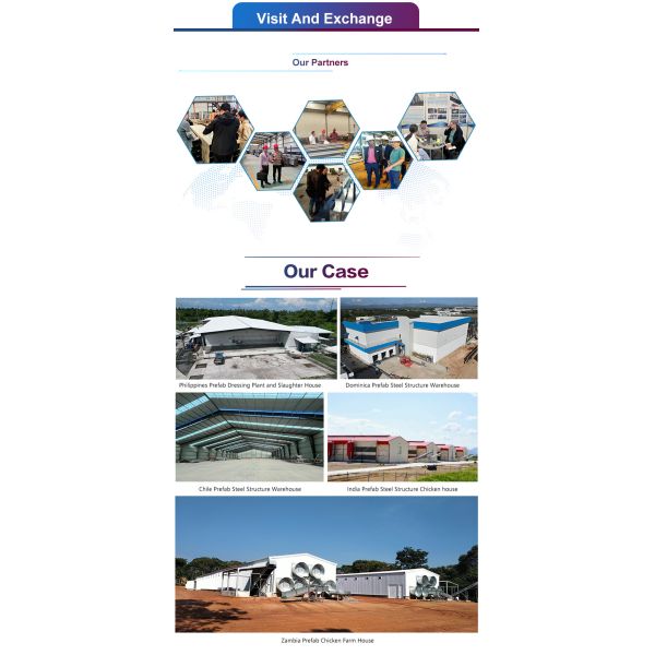 Prefabricated Durable Steel Structure Warehouse for Cold Chain & Dry Goods Storage Multi-layer Steel Warehouse