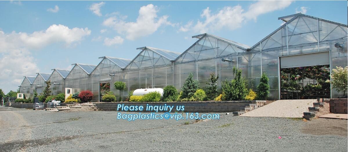 high quality tunnel single span galvanized arch green houses,Plant Large Walk in Greenhouse with Clear Cover for garden