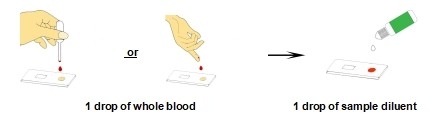 Laboratory Or Hospital Self-Test High Accuracy Leptospira IgG/IgM Rapid Test