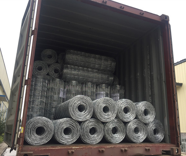 Full Galvanized 1.2m Fixed Knot Wire Cattle Fencing