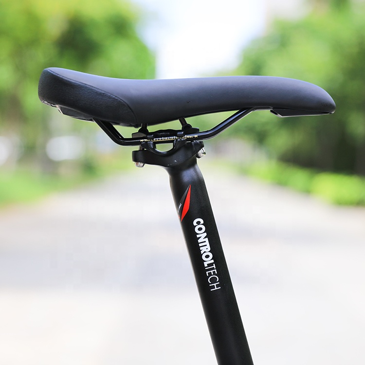 29 inch Mountain Bike with Aluminum Alloy Rim and Carbon Frame from Original