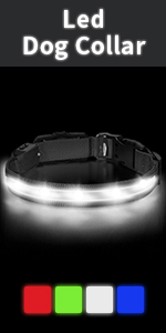 led dog collar