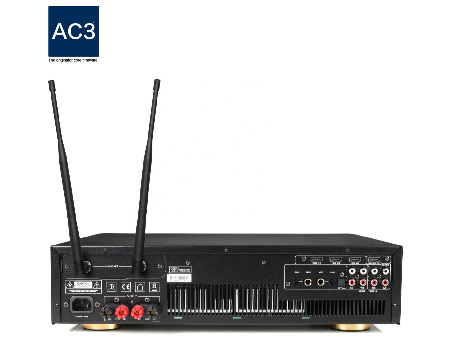 Easy One Piece 250W Digital Karaoke Power Amplifier