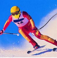 Quality Plastics and Packaging - Sports Equipment Printing Mesh for sale