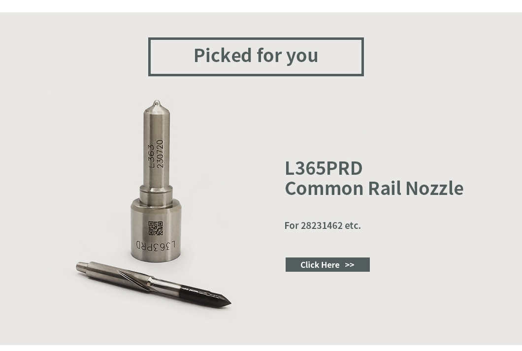 Nollze-Valve Kit 7135-575 Delphi Injector Repair Kit For 28231462 VW 1.2L Nozzle L363PRD