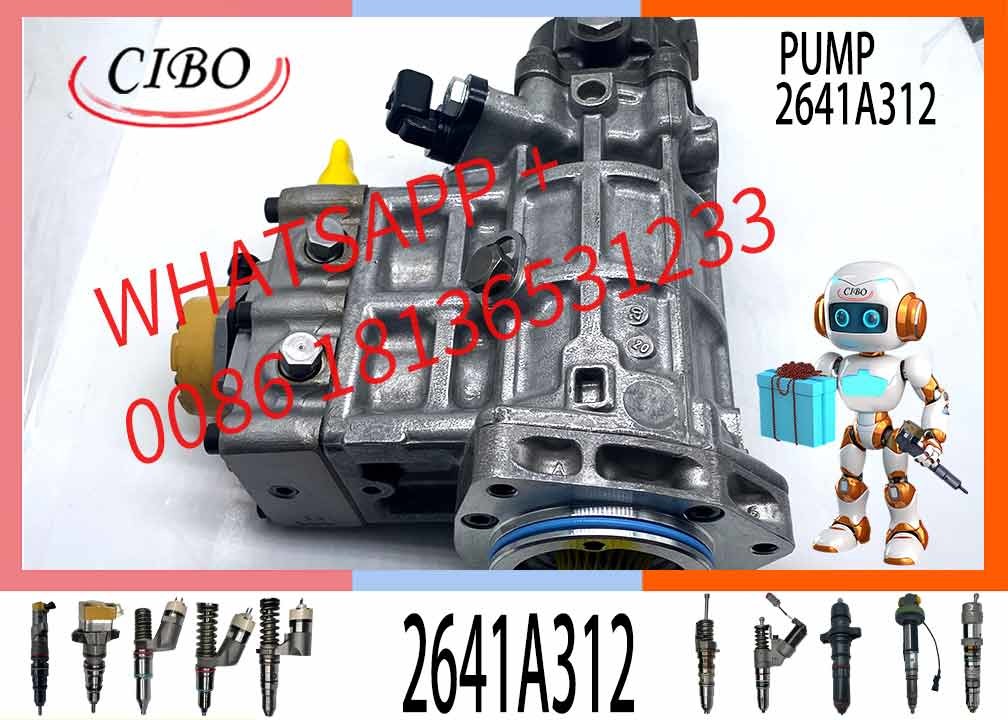 Diesel engine parts for C6.6 fuel injection pump 2641A312 3178021 317-8021 10R7660 10R-7660