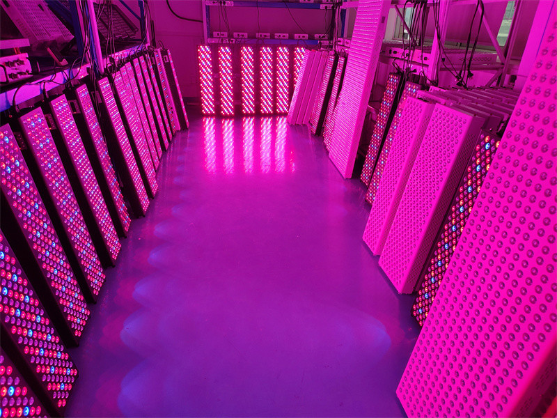 OEM/ODM High Efficiency 7 Wavelengths 480/630/660/670/810/830/850 Infrared Device