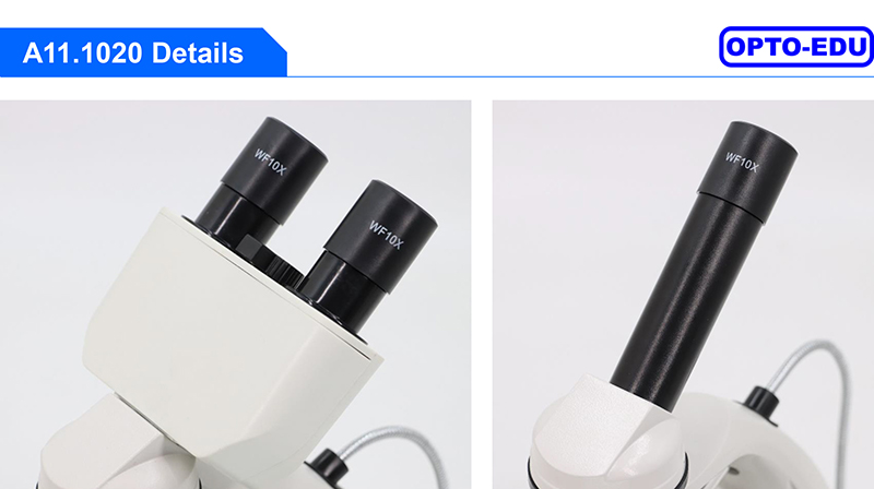 A11.1020 LED 400x Achromatic Student Binocular Biological Microscope