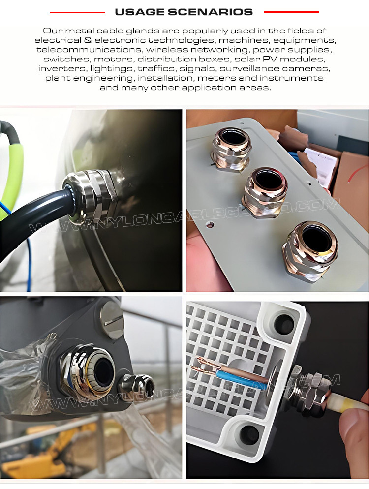 IP68 Watertight Metallic Dome Head Cable Glands Waterproof Connectors with PG & Metric Male Threads
