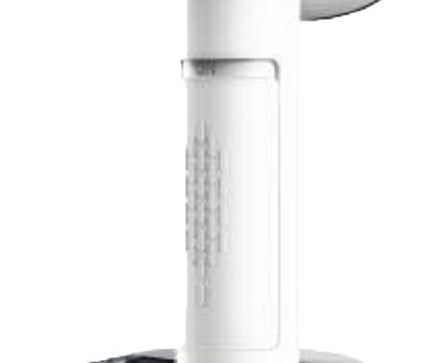 Portable Electric Garment Steamer for Home or Travel 220V 250ml Water Tank Capacity