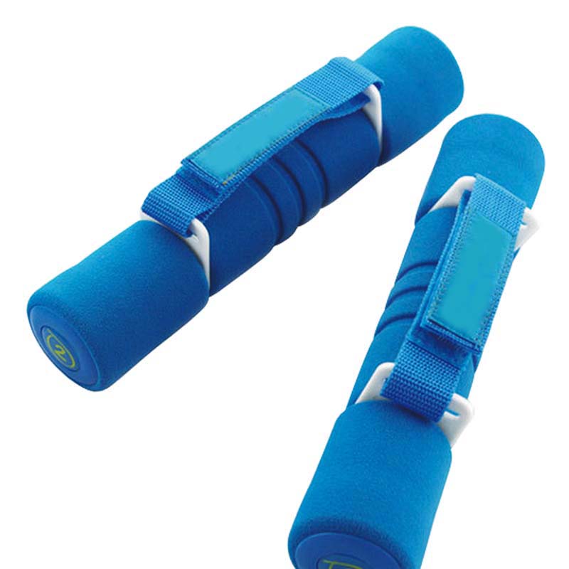 Customized Logo Weight Lifting Dumbbell 0.5kgs Women Walking Weights Dumbbells