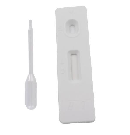 Rapid Test 5 Minutes Do A Pregnancy Test Online Disposable Home One Step HCG Pregnancy Test Kits