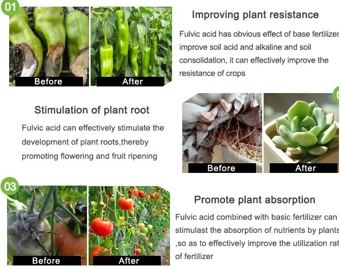 Liquid Organic Soluble Fertilizer Agricultural For Yield Increase
