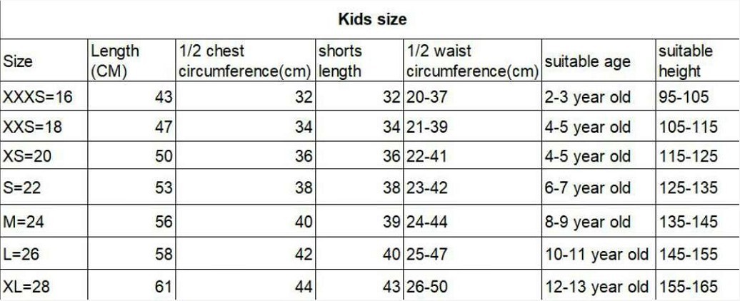 France 2 stars kids jersey soccer jersey World Cup France team home football jersey