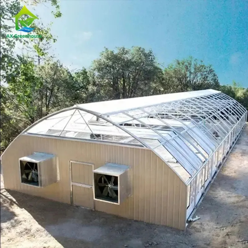Blackout Mushroom Single-span Tunnel Light Deprivation Greenhouse For Agriculture