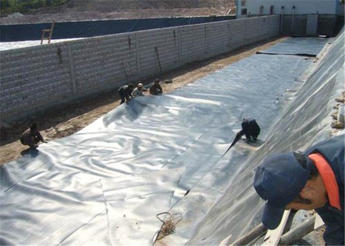Waterproof Green Width 8m HDPE Smooth Geomembrane