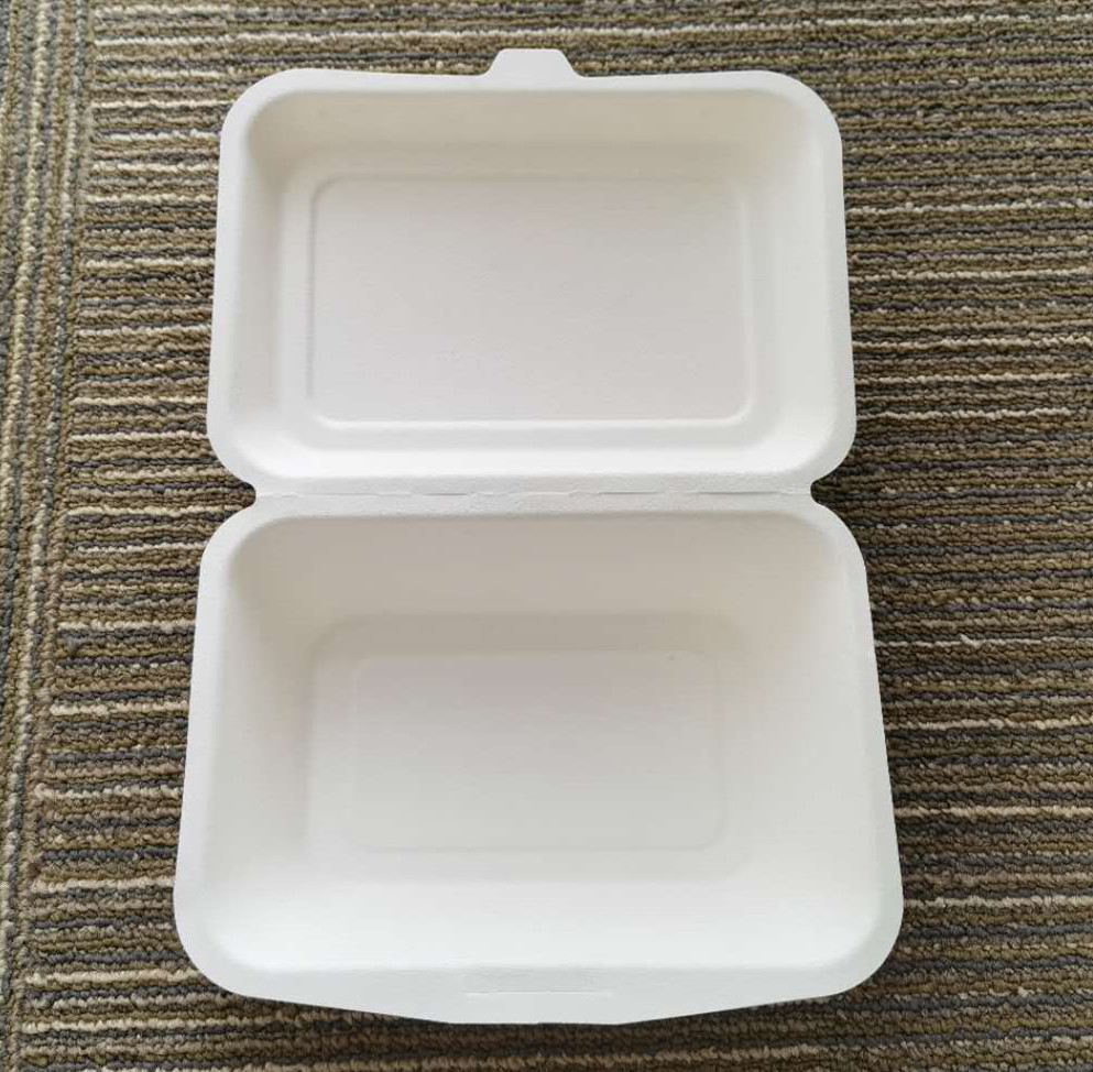 Sugarcane Pulp Biodegradable Take Out Food Containers 9 Inch
