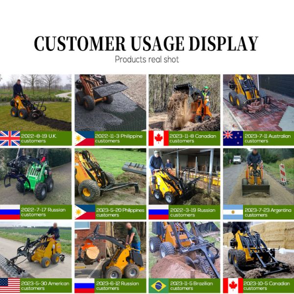Loader Skid Steer Chinese Manufacturer Super Loading Capacity Mini Loader Skid Steer EPA CE