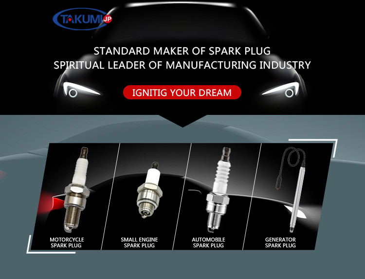 S-R6A15 Spark Plug Replace 1234-3055 For CHP Engines & MWM 2016