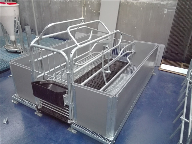hot dip galvanized pig farrowing crate pig cages for pig farming