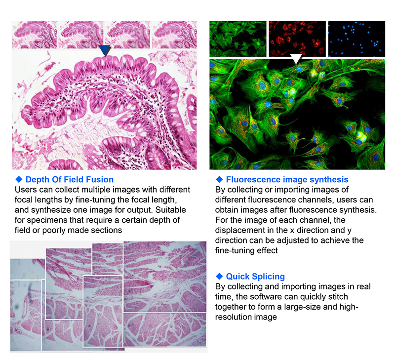 OPTO EDU A14.1096 Laboratory 22mm Inverted Fluorescence Microscope