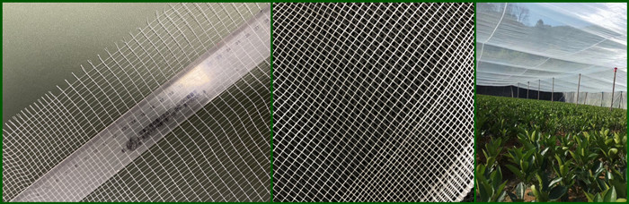 Knitted Greenhouse Shade Netting / Sun Protection Green Net 95% UV resistant