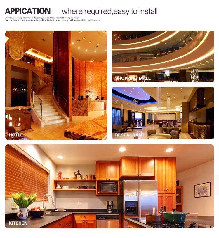Vellnice Commercial High Power Project Hotel Lobby 45W COB LED Downlight R3B0375