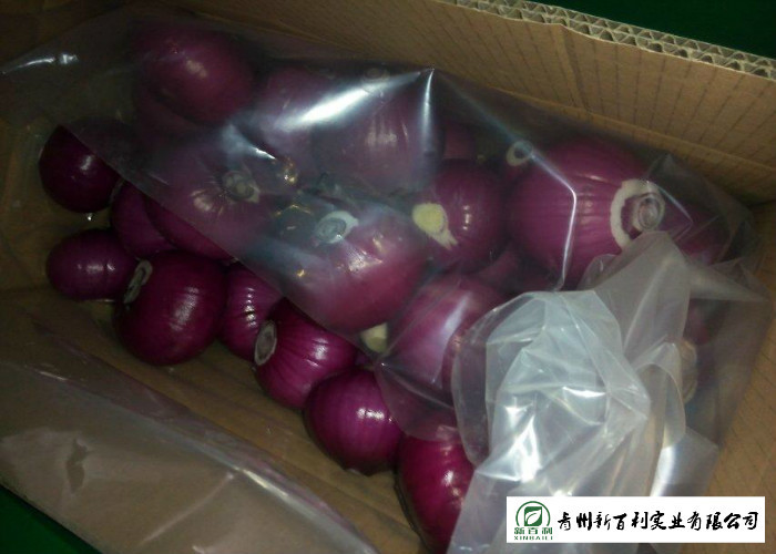 Juicy Sweet Red Onion 10 Kg / Bag Packing White Flesh For Cooking