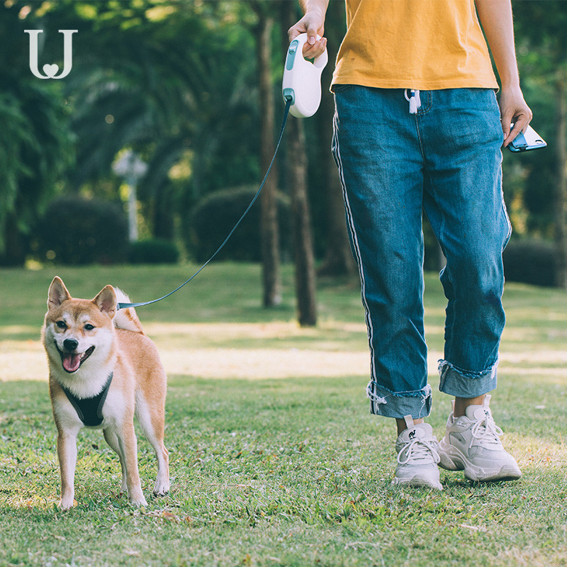 180*145*45mm Retractable Pet Leash