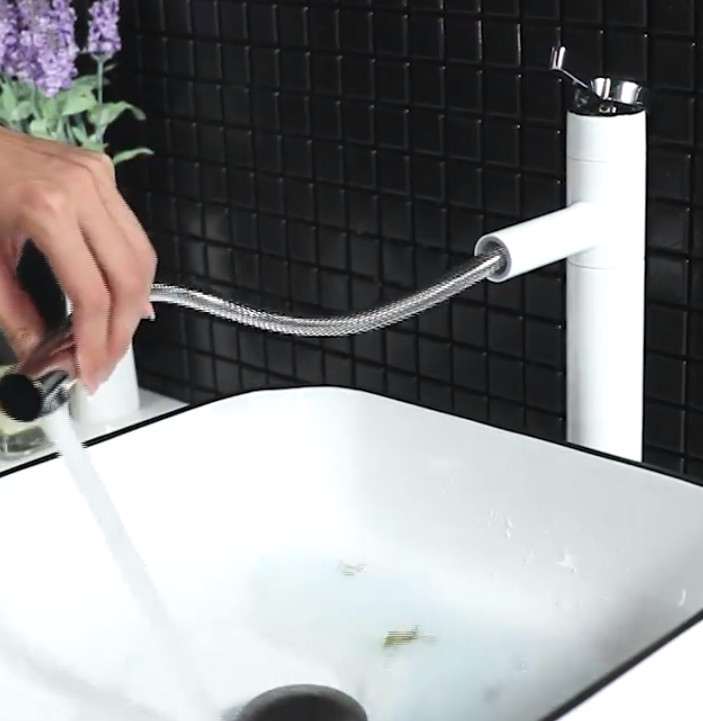 ABS Handle Chrome Pull Out Spray Tap Exposed Wall Mount