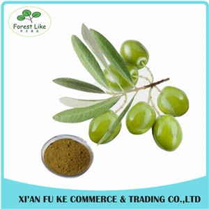 High Quality Olive Leaf Extract Oleuropein 25%
